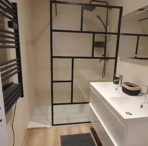 Apartament Duplex - Palais De Justice *